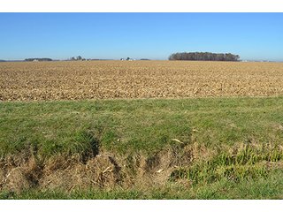 Tract 1 - FARMLAND AUCTION - 165.5+/- ACRES OFFERED IN 5 TRACTS OR COMBINATIONS IN EAST ALLEN COUNTY
